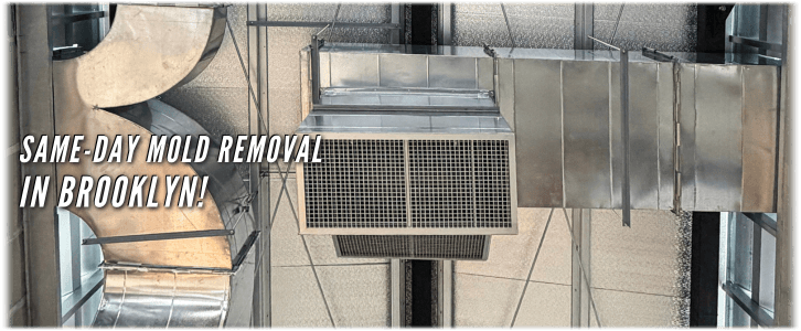 Air Duct Mold Removal in Brooklyn
