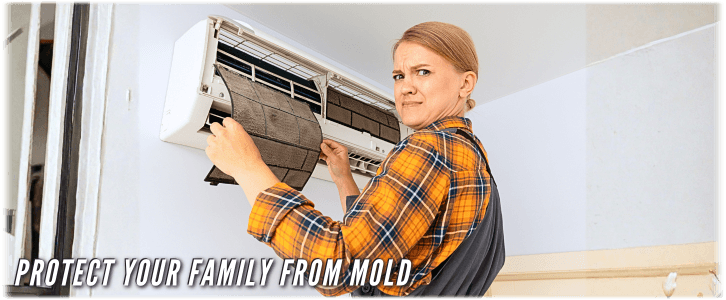 HVAC Mold Removal Brooklyn